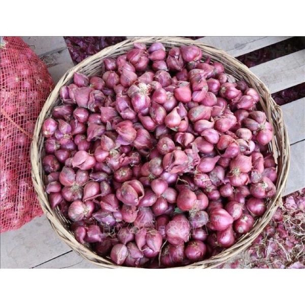Hành Vĩnh Châu