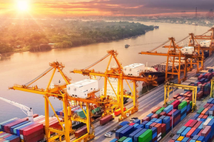 XUẤT KHẨU NÔNG SẢN TẠI VIỆT NAM CẦN LƯU Ý GÌ?