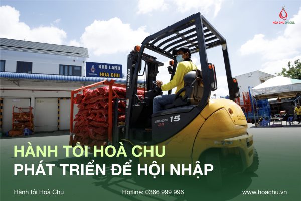 HÀNH TỎI HOÀ CHU- PHÁT TRIỂN ĐỂ HỘI NHẬP